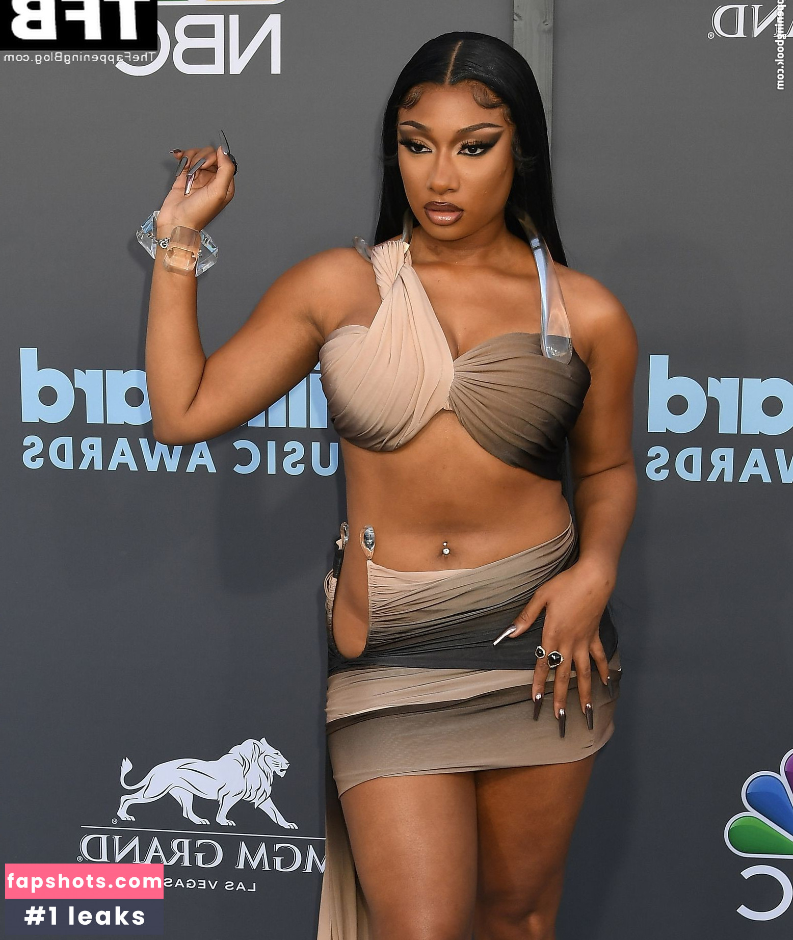 Megan Thee Stallion Nacktheit OnlyFans Fotos #389 - Fapshots