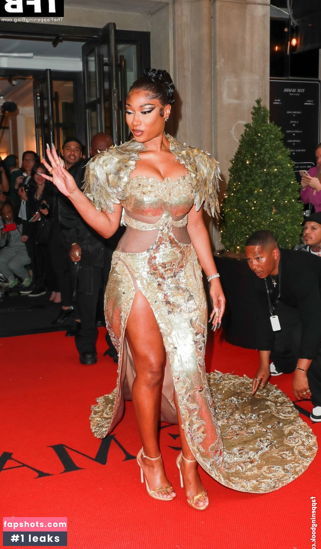 Megan Thee Stallion Nacktheit OnlyFans Fotos #399 - Fapshots