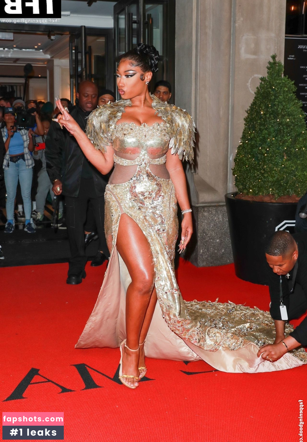 Megan Thee Stallion Nacktheit OnlyFans Fotos #400 - Fapshots