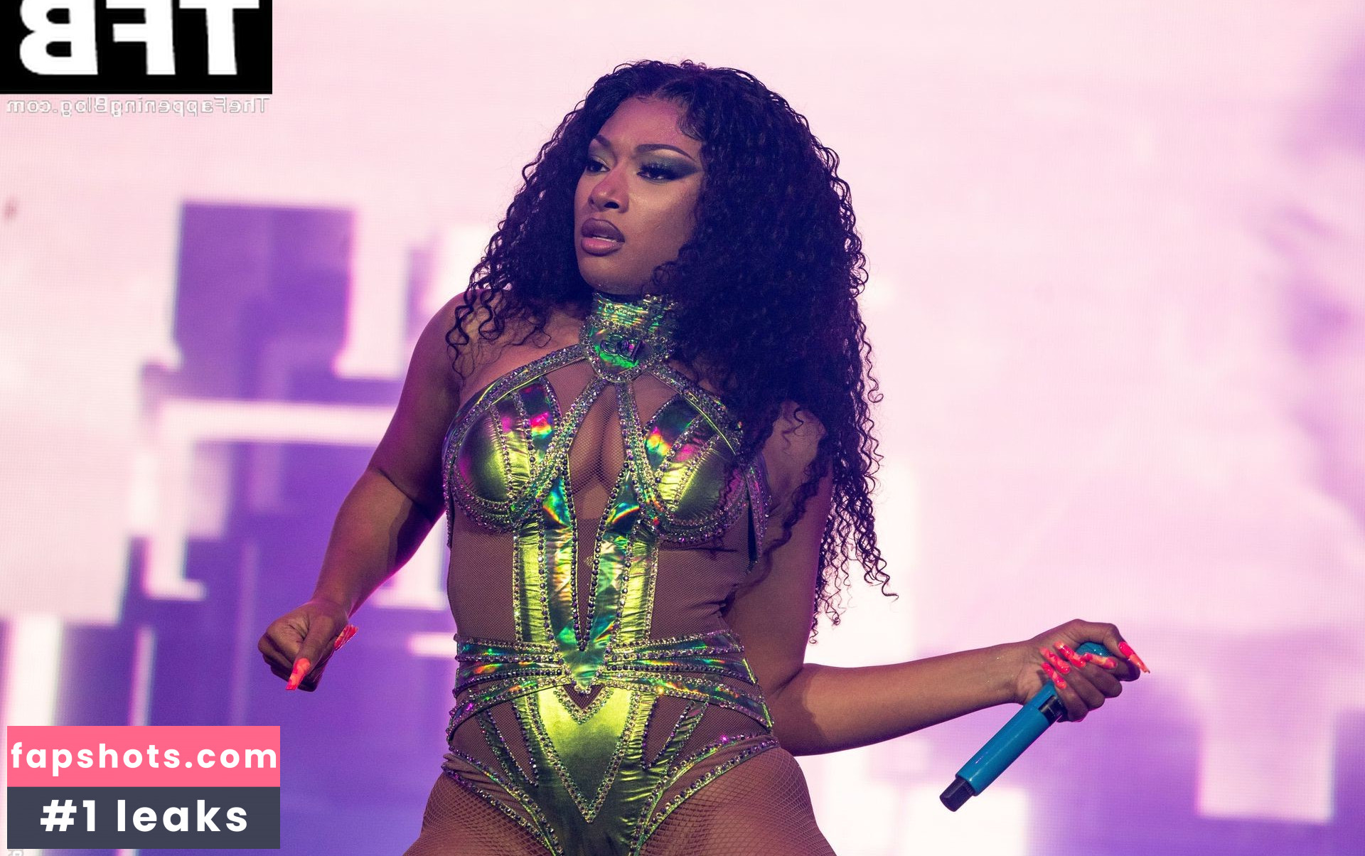 Megan Thee Stallion Nacktheit OnlyFans Fotos #416 - Fapshots