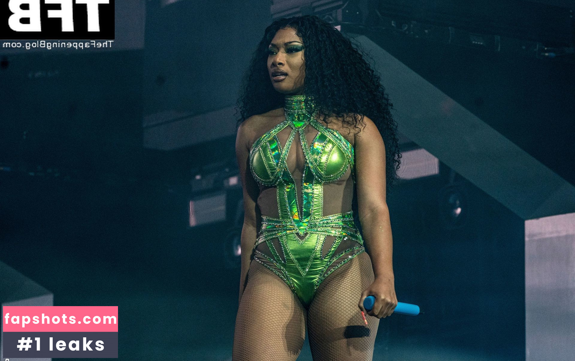 Megan Thee Stallion Nacktheit OnlyFans Fotos #419 - Fapshots