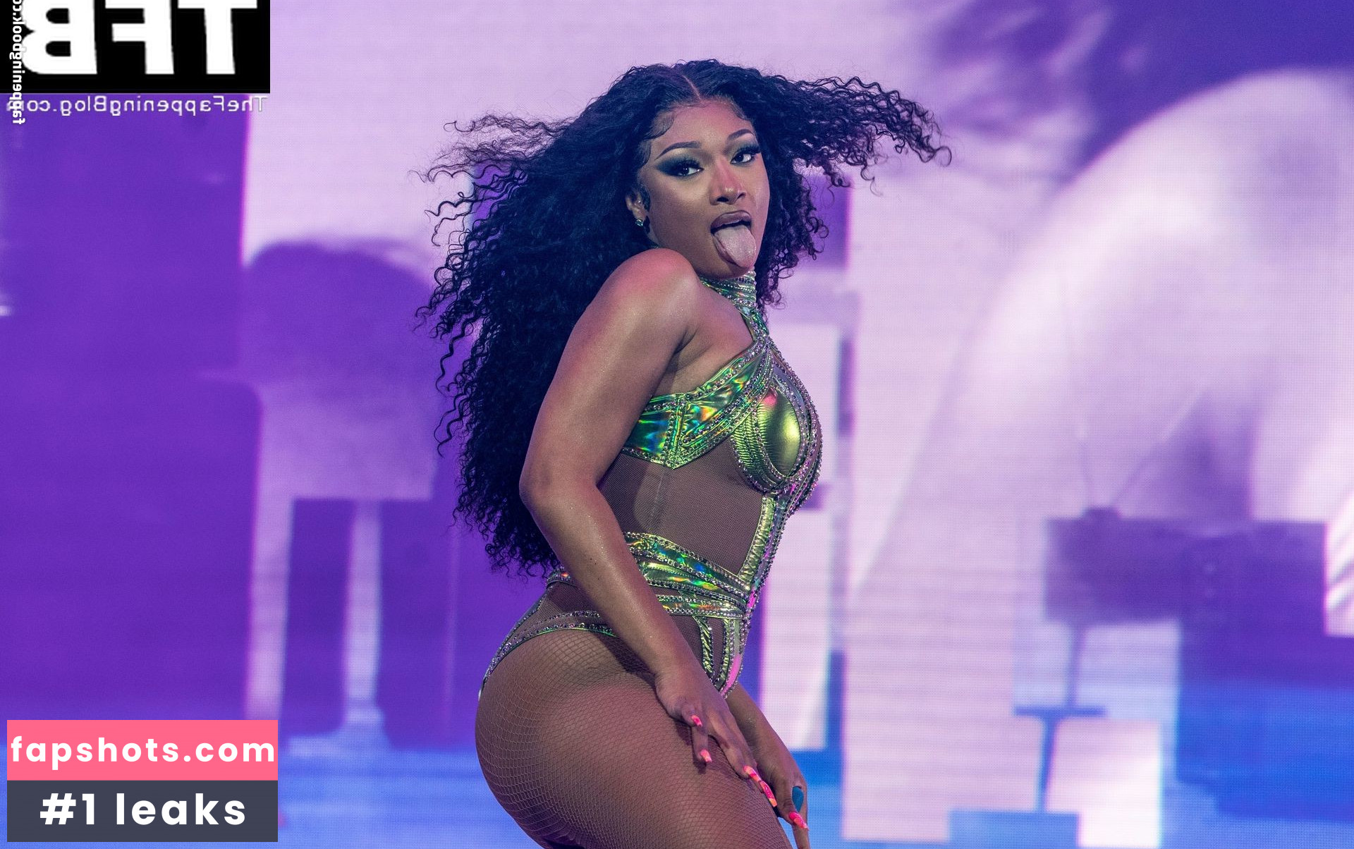 Megan Thee Stallion Nacktheit OnlyFans Fotos #420 - Fapshots