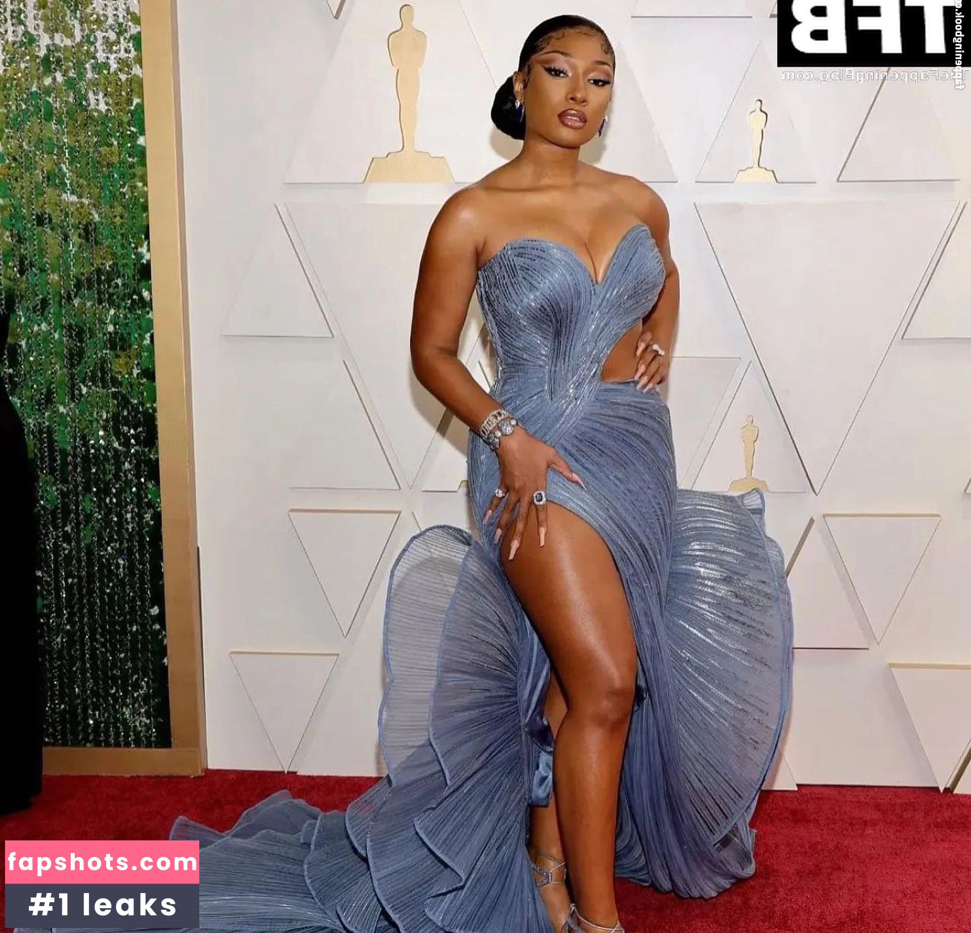 Megan Thee Stallion Nacktheit OnlyFans Fotos #431 - Fapshots