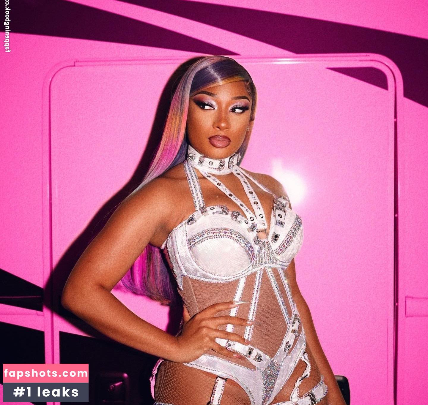Megan Thee Stallion Nacktheit OnlyFans Fotos #436 - Fapshots