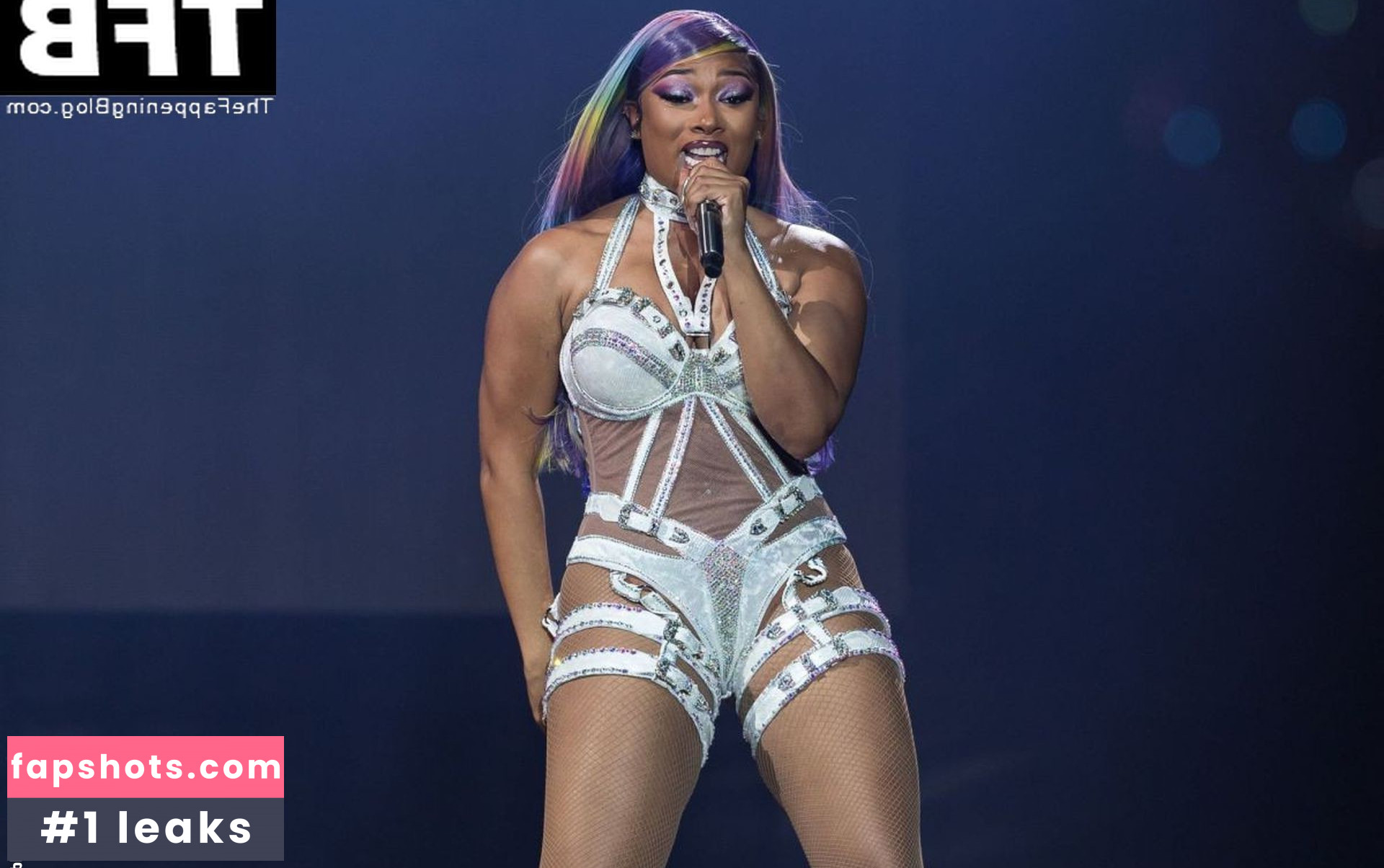 Megan Thee Stallion Nacktheit OnlyFans Fotos #448 - Fapshots