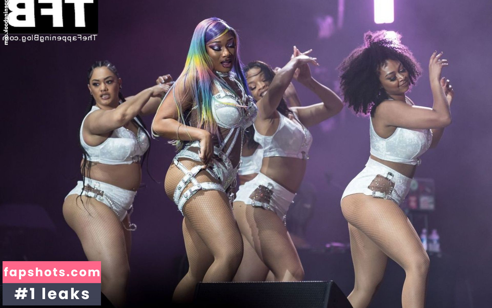 Megan Thee Stallion Nacktheit OnlyFans Fotos #449 - Fapshots