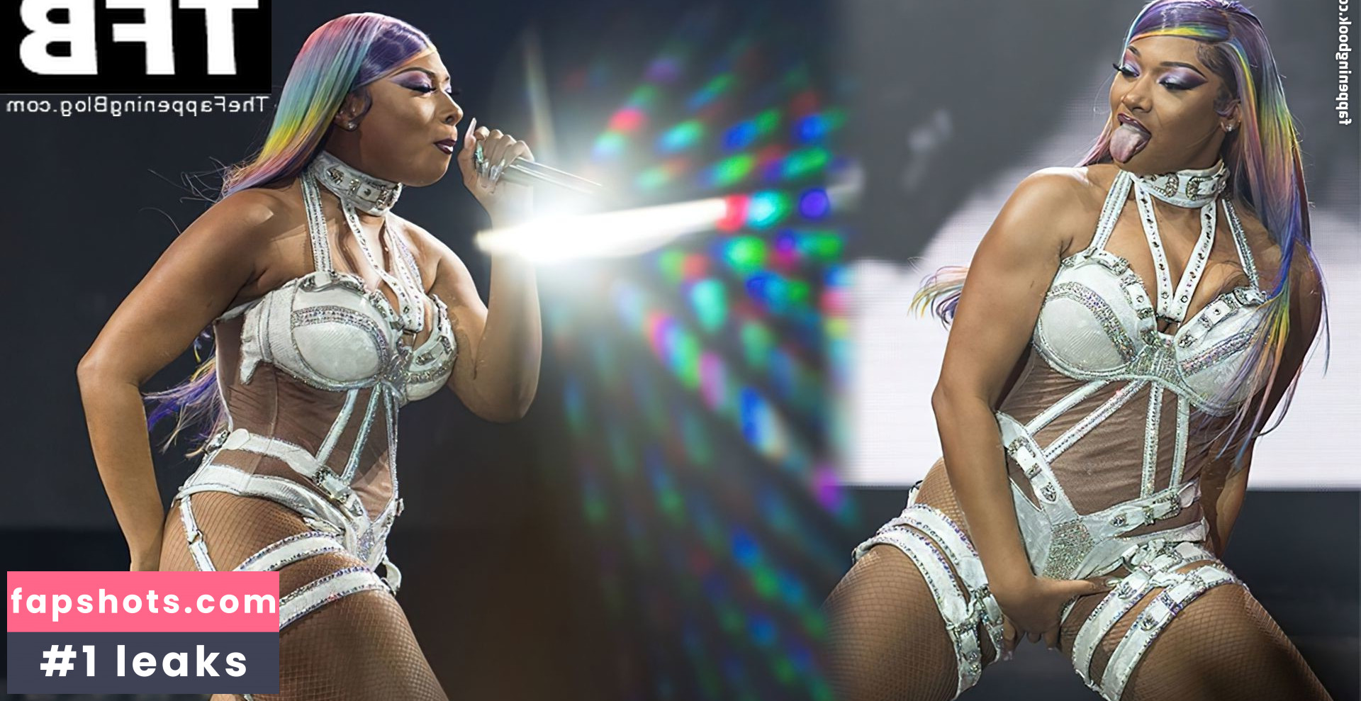 Megan Thee Stallion Nacktheit OnlyFans Fotos #450 - Fapshots