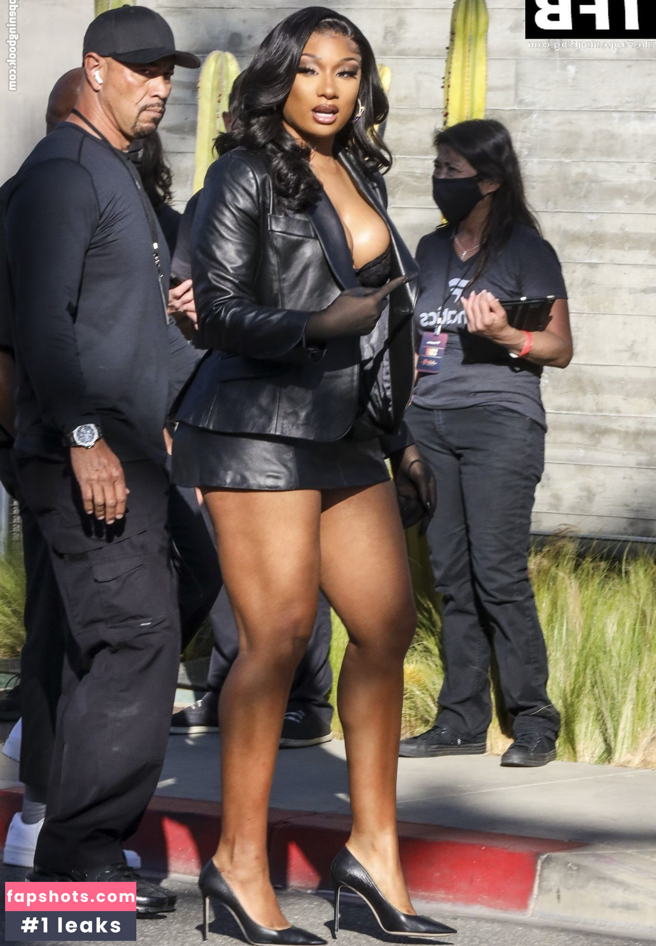 Megan Thee Stallion Nacktheit OnlyFans Fotos #461 - Fapshots