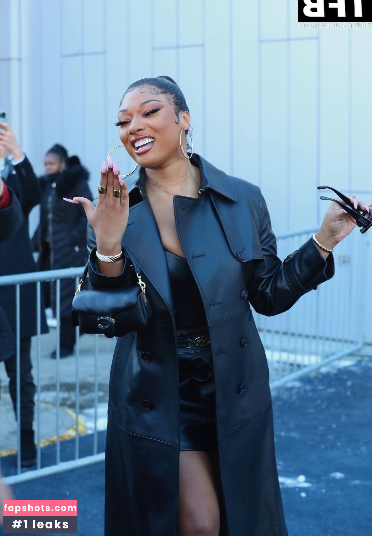 Megan Thee Stallion Nacktheit OnlyFans Fotos #475 - Fapshots