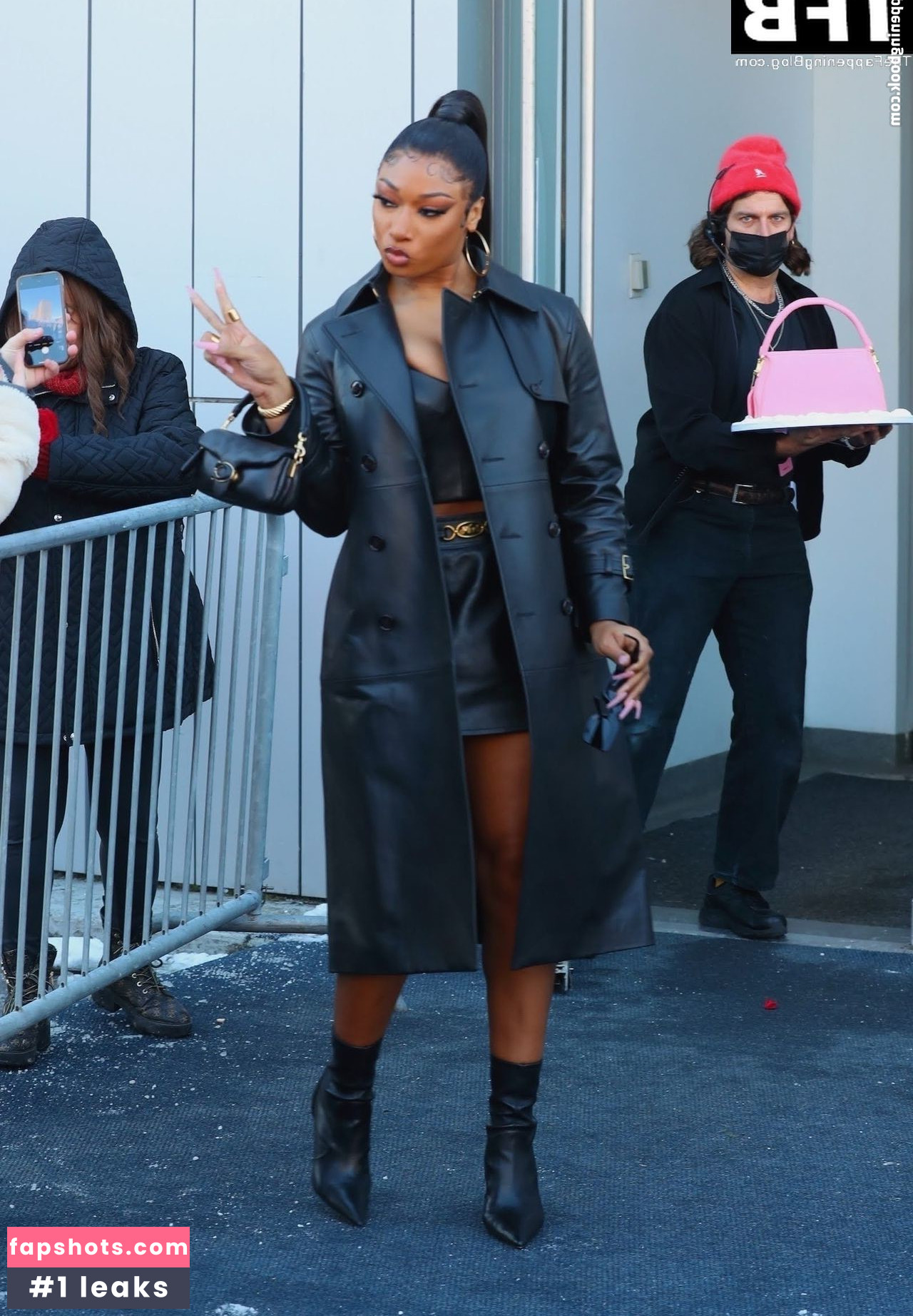 Megan Thee Stallion Nacktheit OnlyFans Fotos #481 - Fapshots