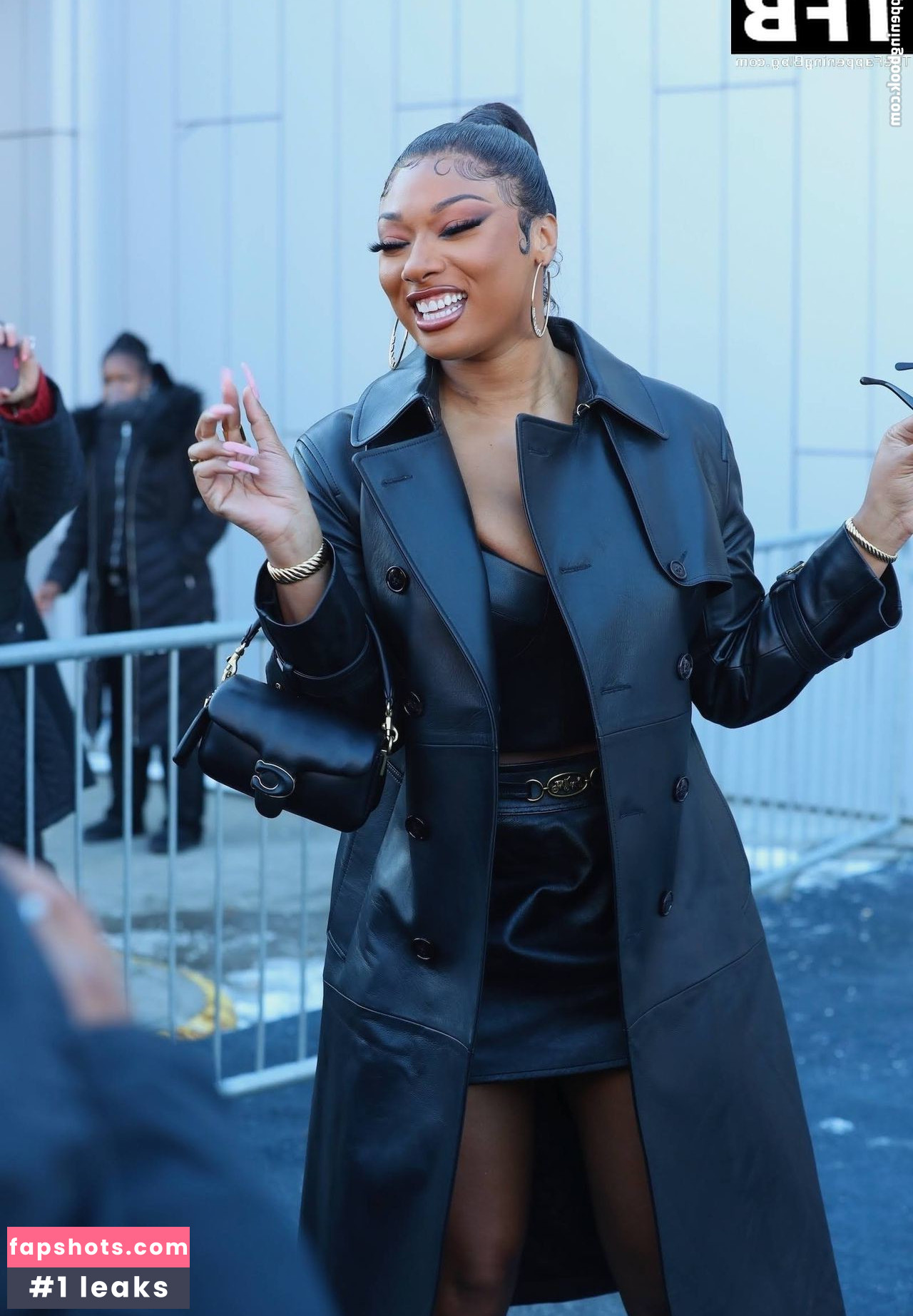 Megan Thee Stallion Nacktheit OnlyFans Fotos #484 - Fapshots