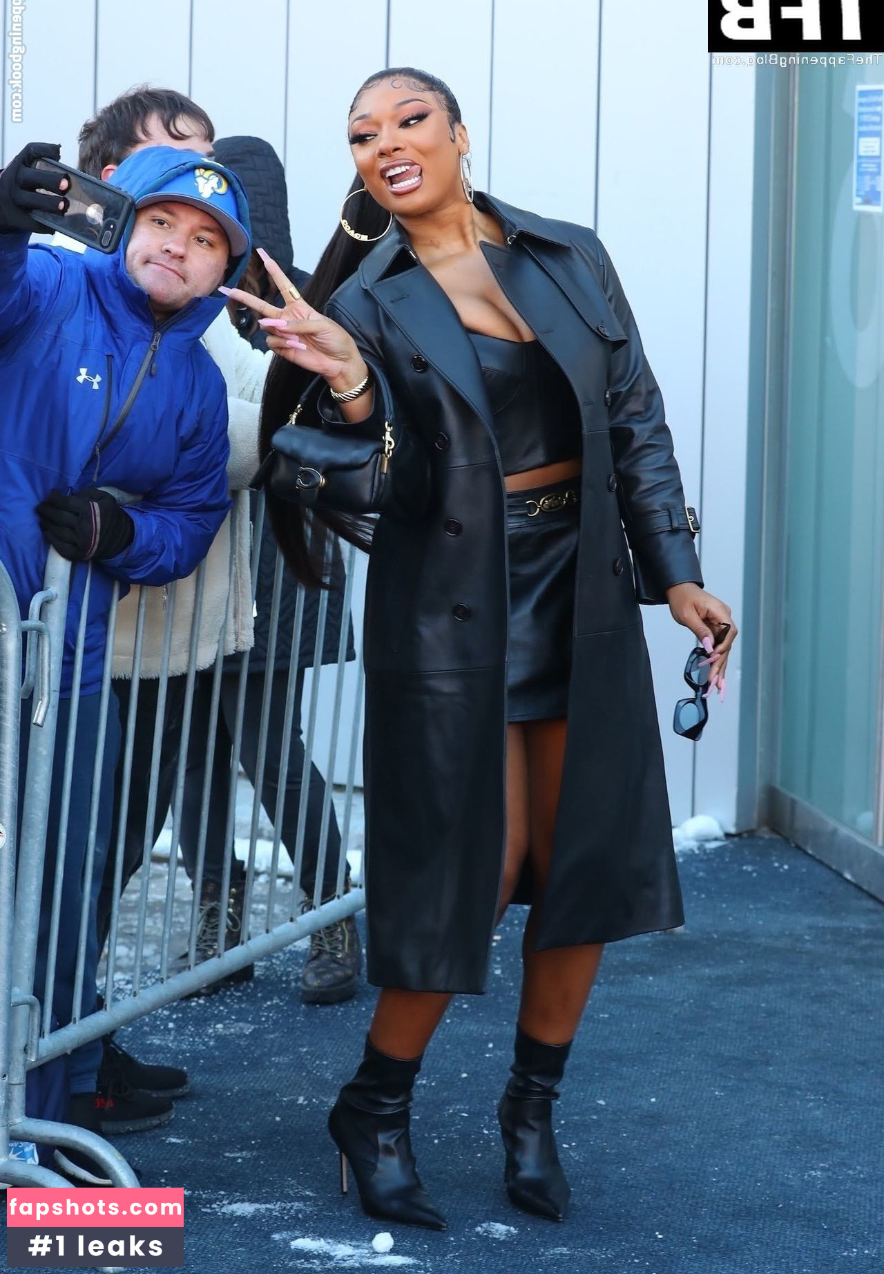 Megan Thee Stallion Nacktheit OnlyFans Fotos #486 - Fapshots