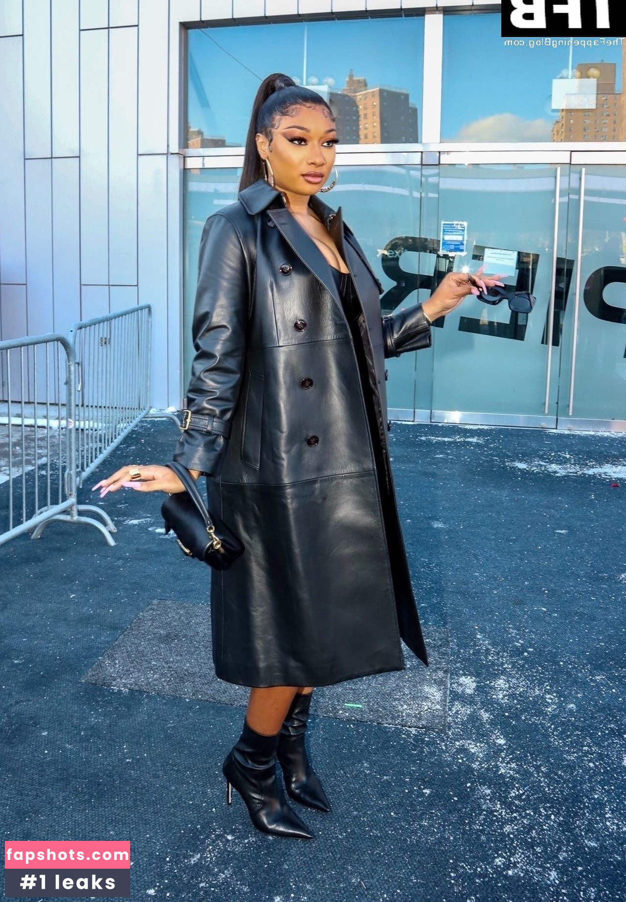 Megan Thee Stallion Nacktheit OnlyFans Fotos #487 - Fapshots