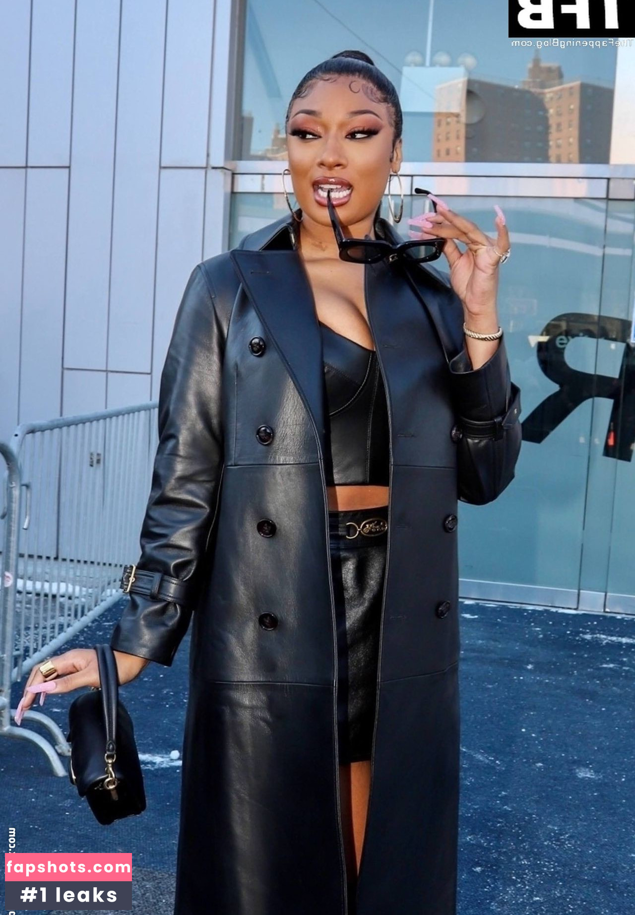 Megan Thee Stallion Nacktheit OnlyFans Fotos #490 - Fapshots