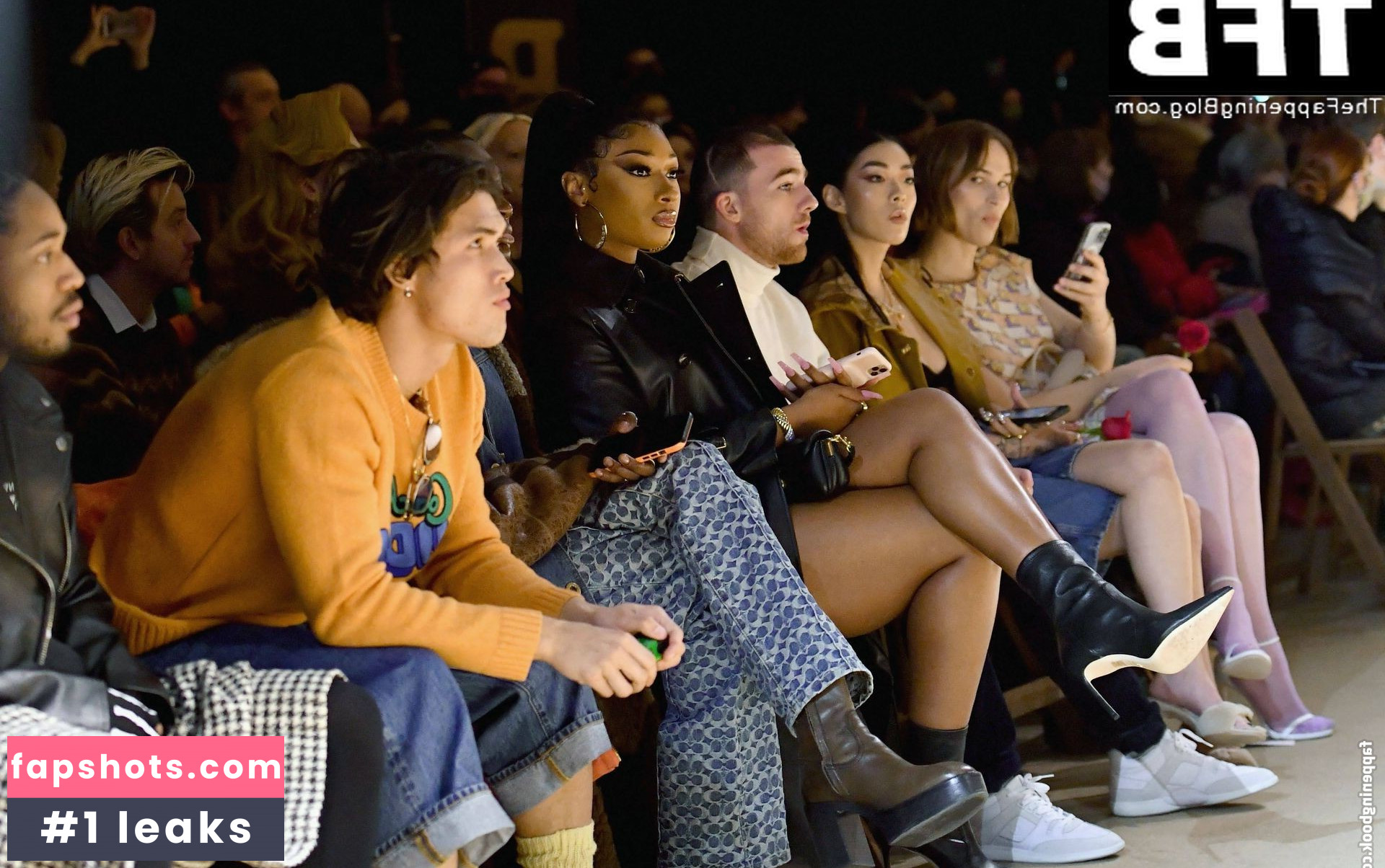 Megan Thee Stallion Nacktheit OnlyFans Fotos #492 - Fapshots