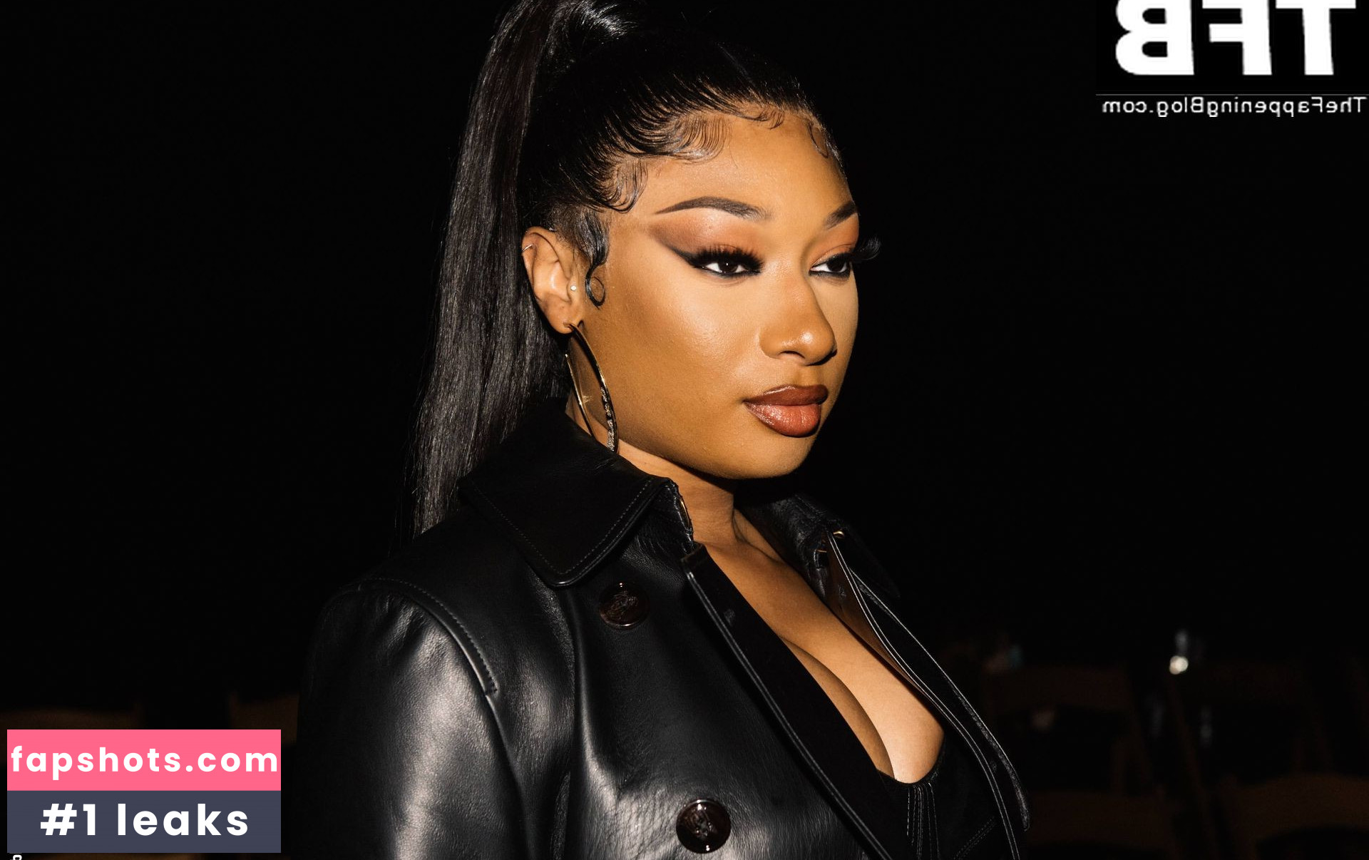 Megan Thee Stallion Nacktheit OnlyFans Fotos #493 - Fapshots