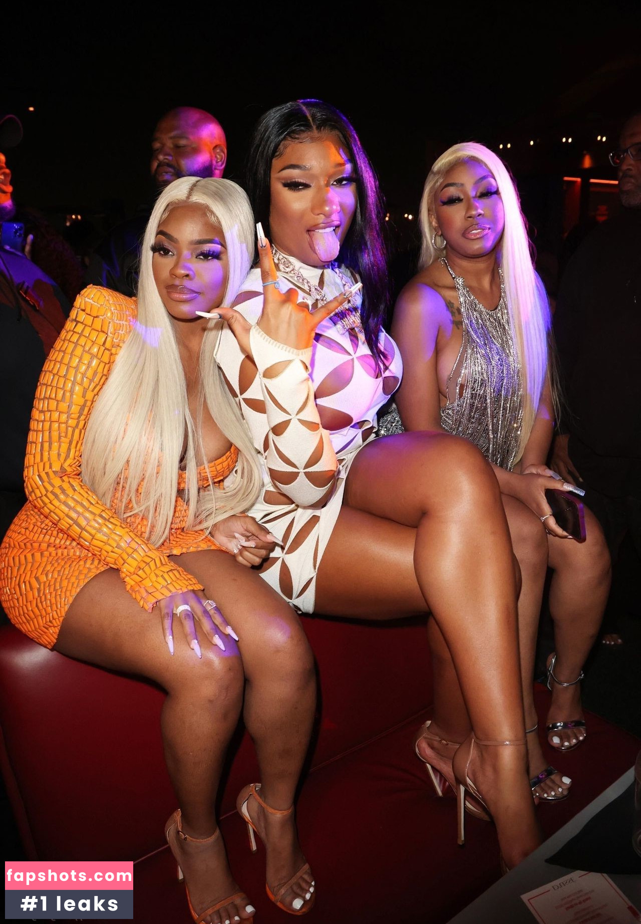 Megan Thee Stallion Nacktheit OnlyFans Fotos #558 - Fapshots