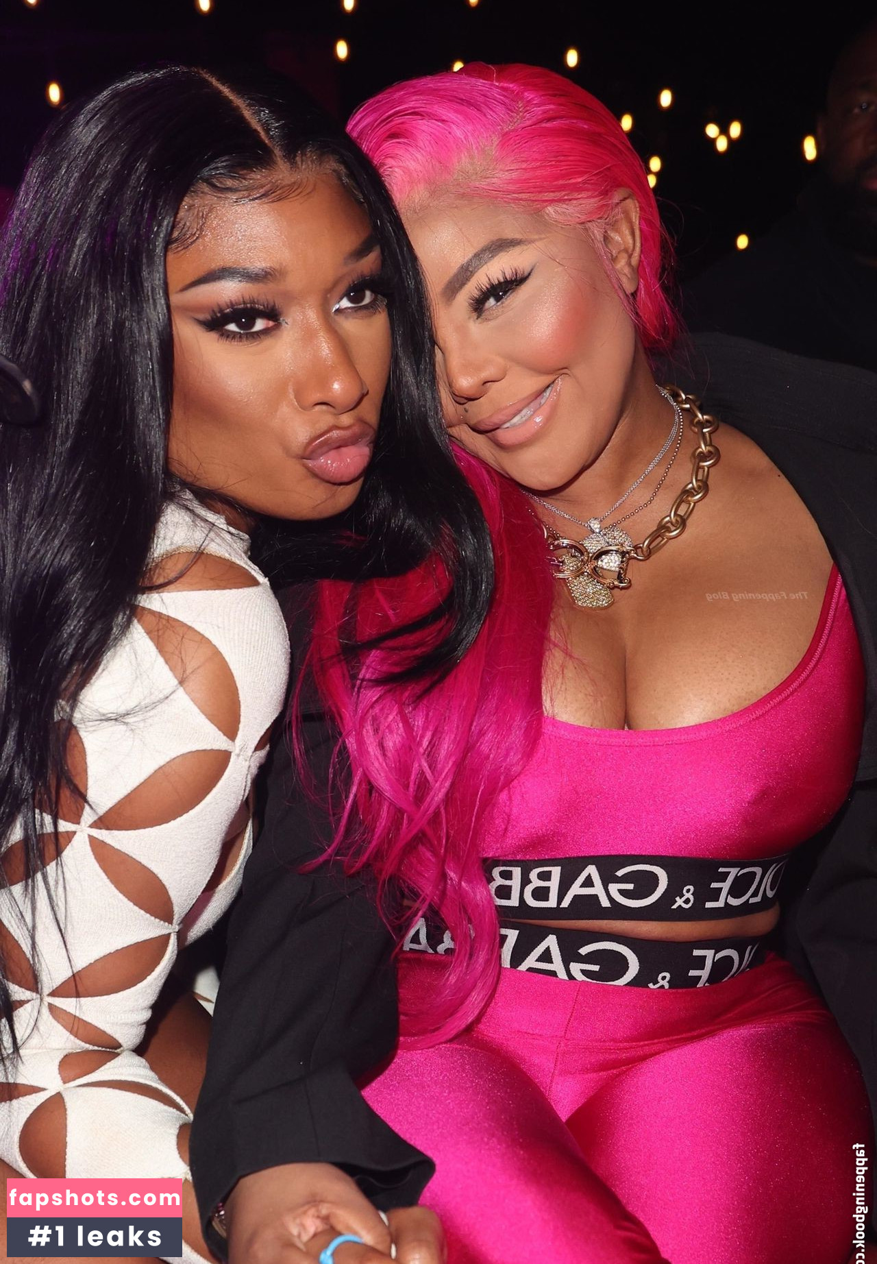 Megan Thee Stallion Nacktheit OnlyFans Fotos #565 - Fapshots