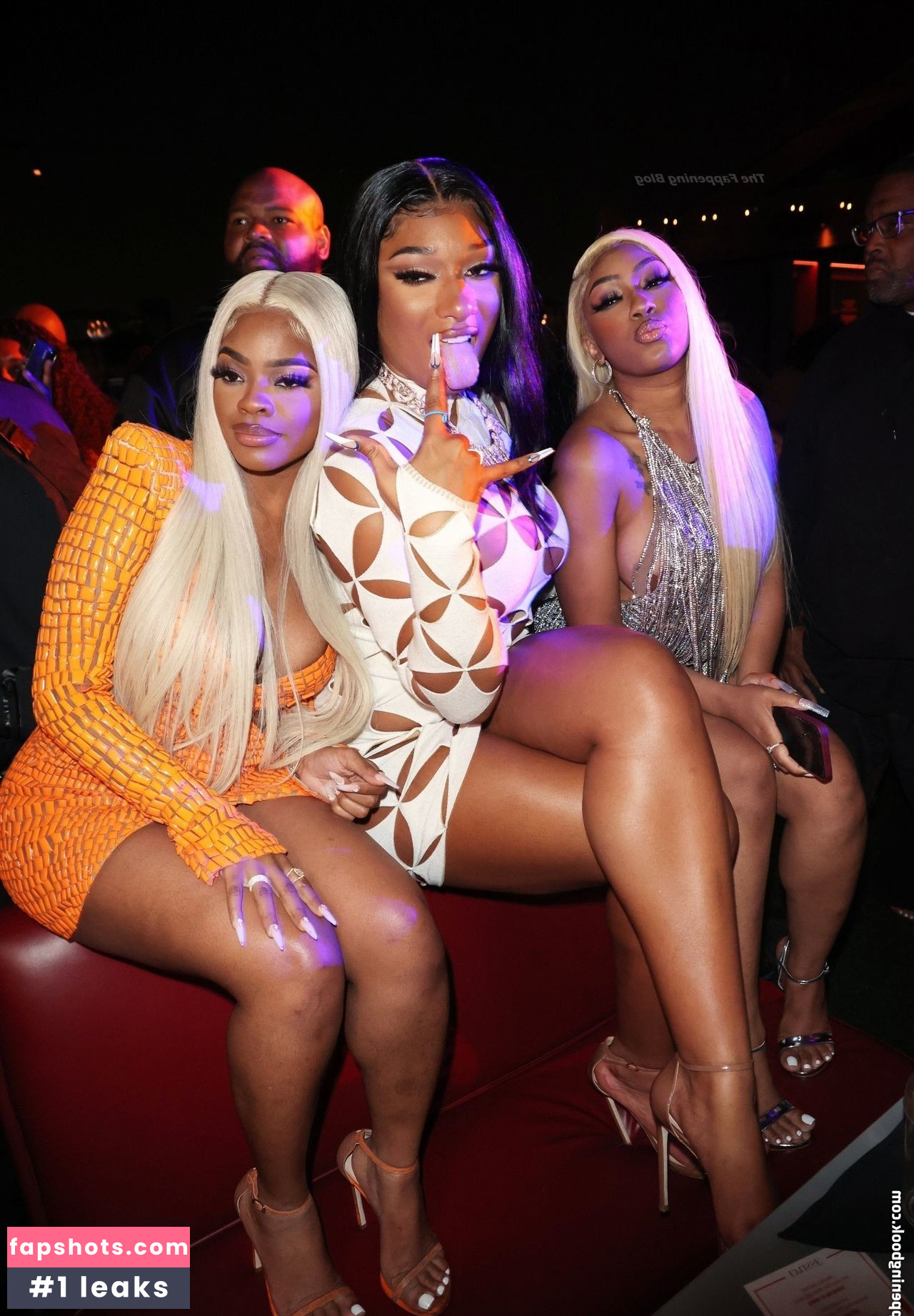 Megan Thee Stallion Nacktheit OnlyFans Fotos #568 - Fapshots