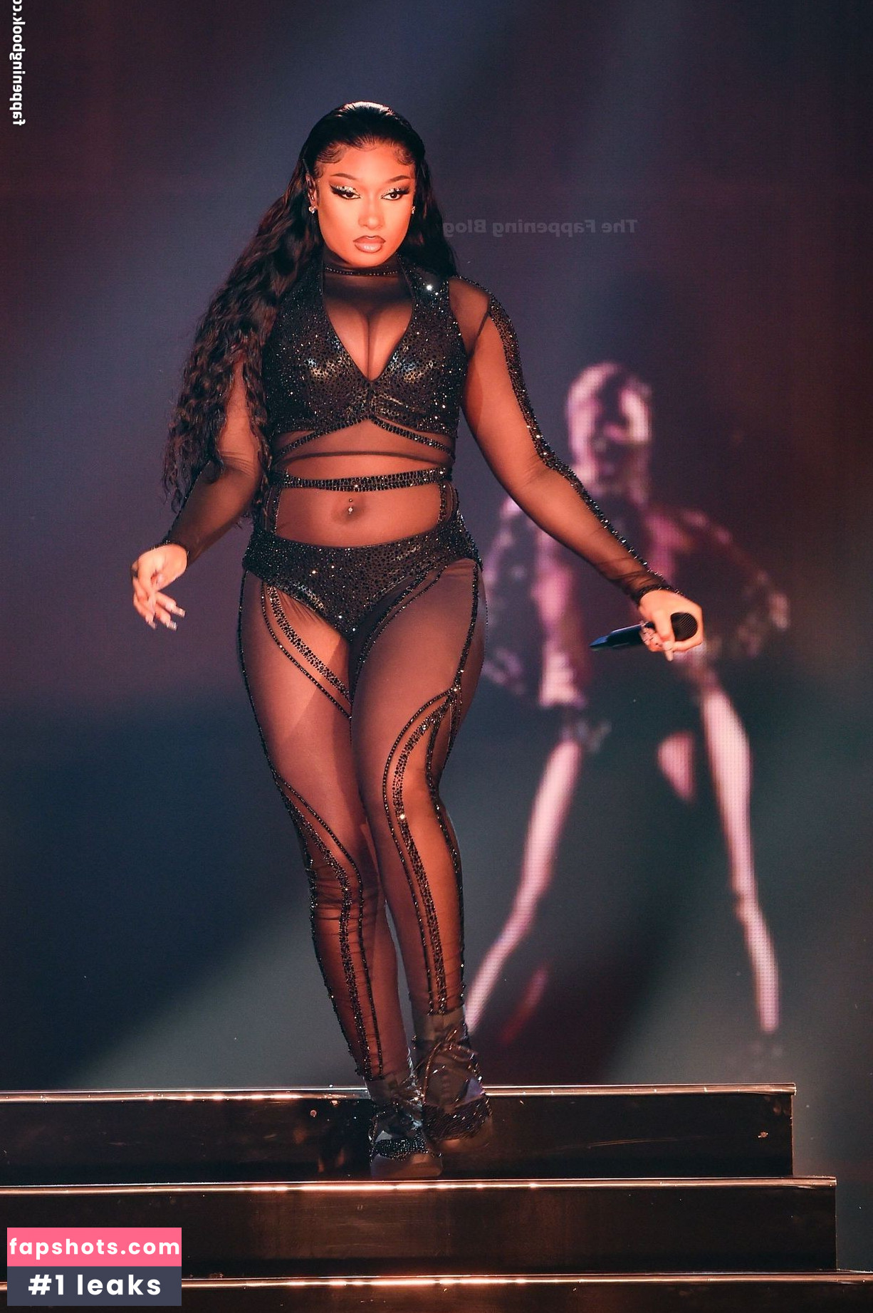 Megan Thee Stallion gallery photo #626