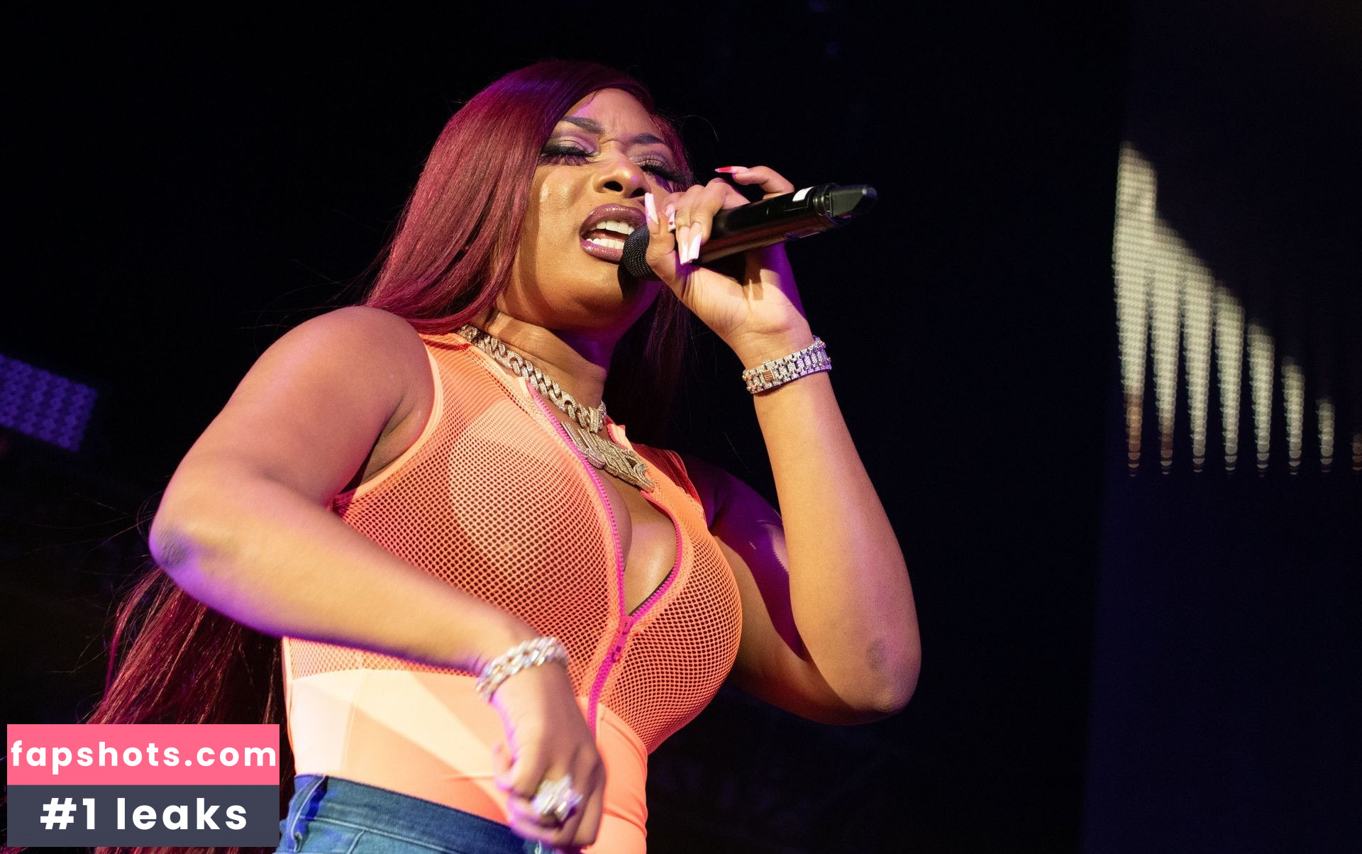 Megan Thee Stallion gallery photo #685
