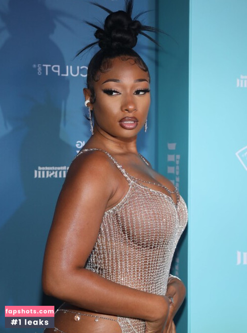 Megan Thee Stallion Nahé úniky fotek pouze od fanoušků #155 - Fapshots