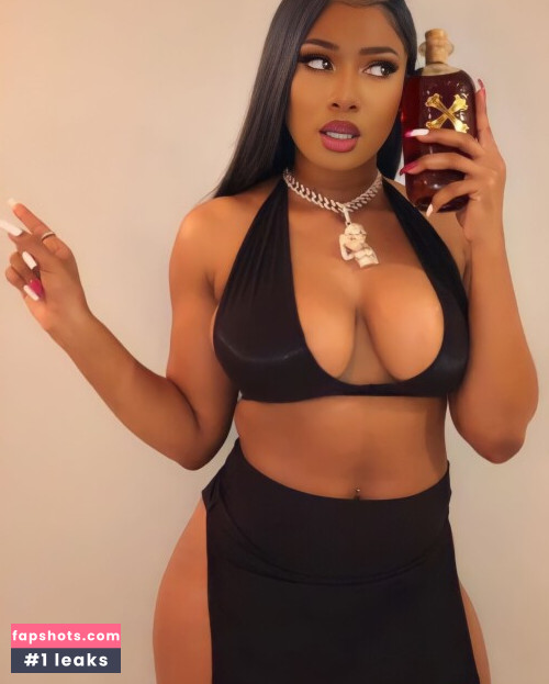 Megan Thee Stallion Nahé úniky fotek pouze od fanoušků #221 - Fapshots
