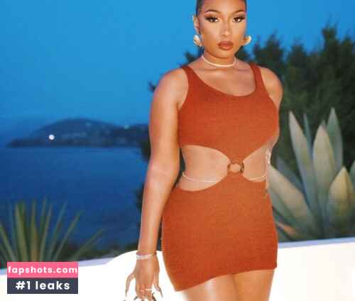 Megan Thee Stallion Nahé úniky fotek pouze od fanoušků #396 - Fapshots