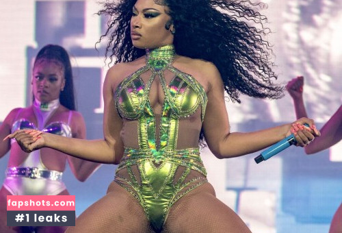 Megan Thee Stallion Nahé úniky fotek pouze od fanoušků #474 - Fapshots
