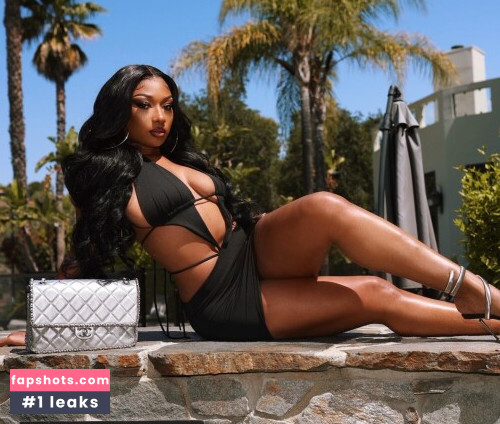 Megan Thee Stallion Nahé úniky fotek pouze od fanoušků #522 - Fapshots