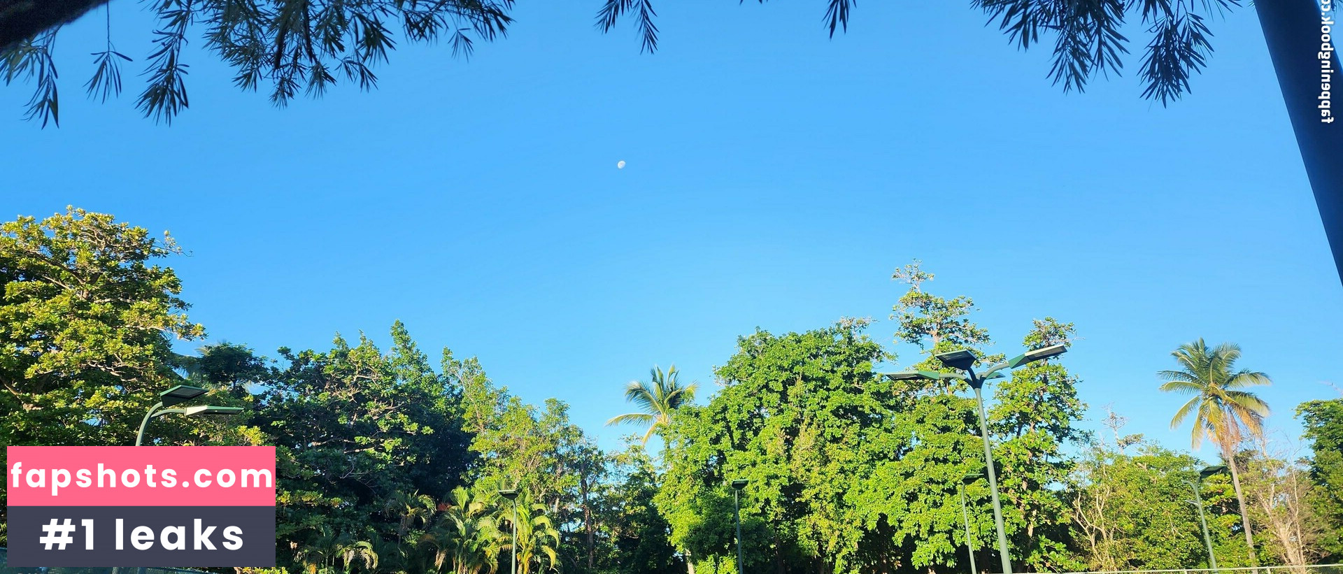 meganlife gallery photo #14