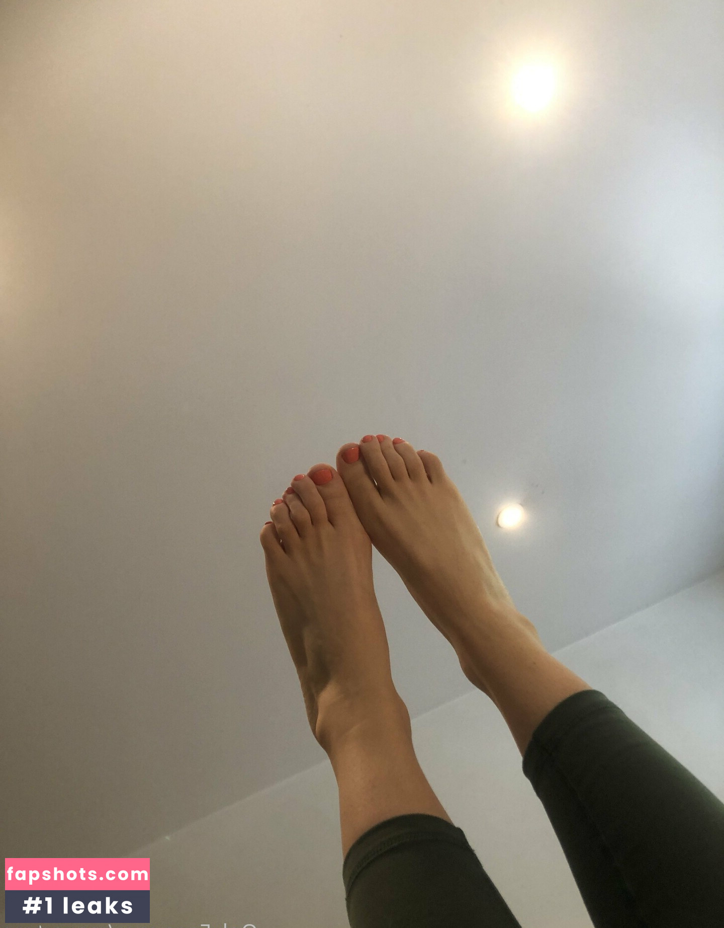 Megartron gallery photo #67