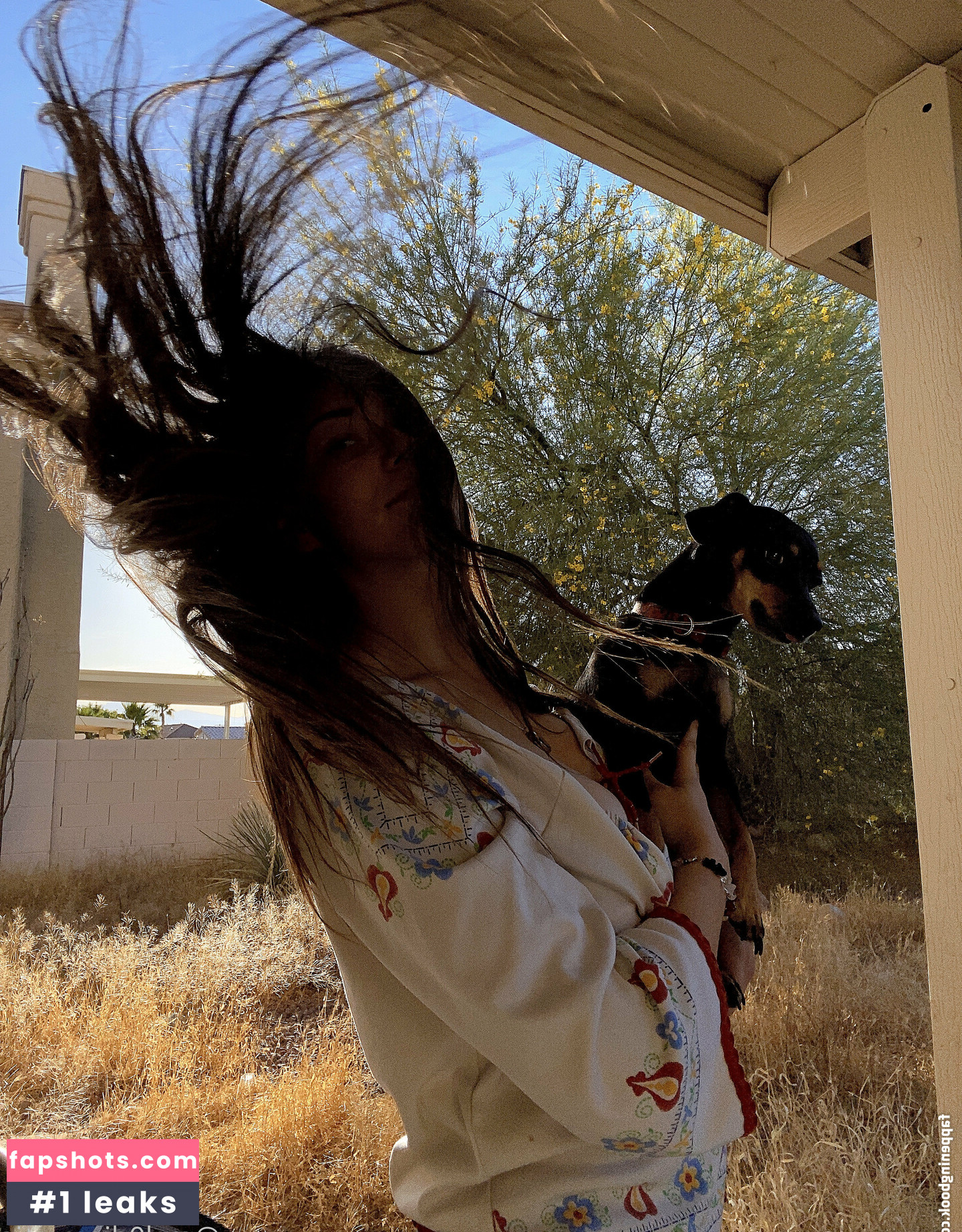 mel0dic gallery photo #3