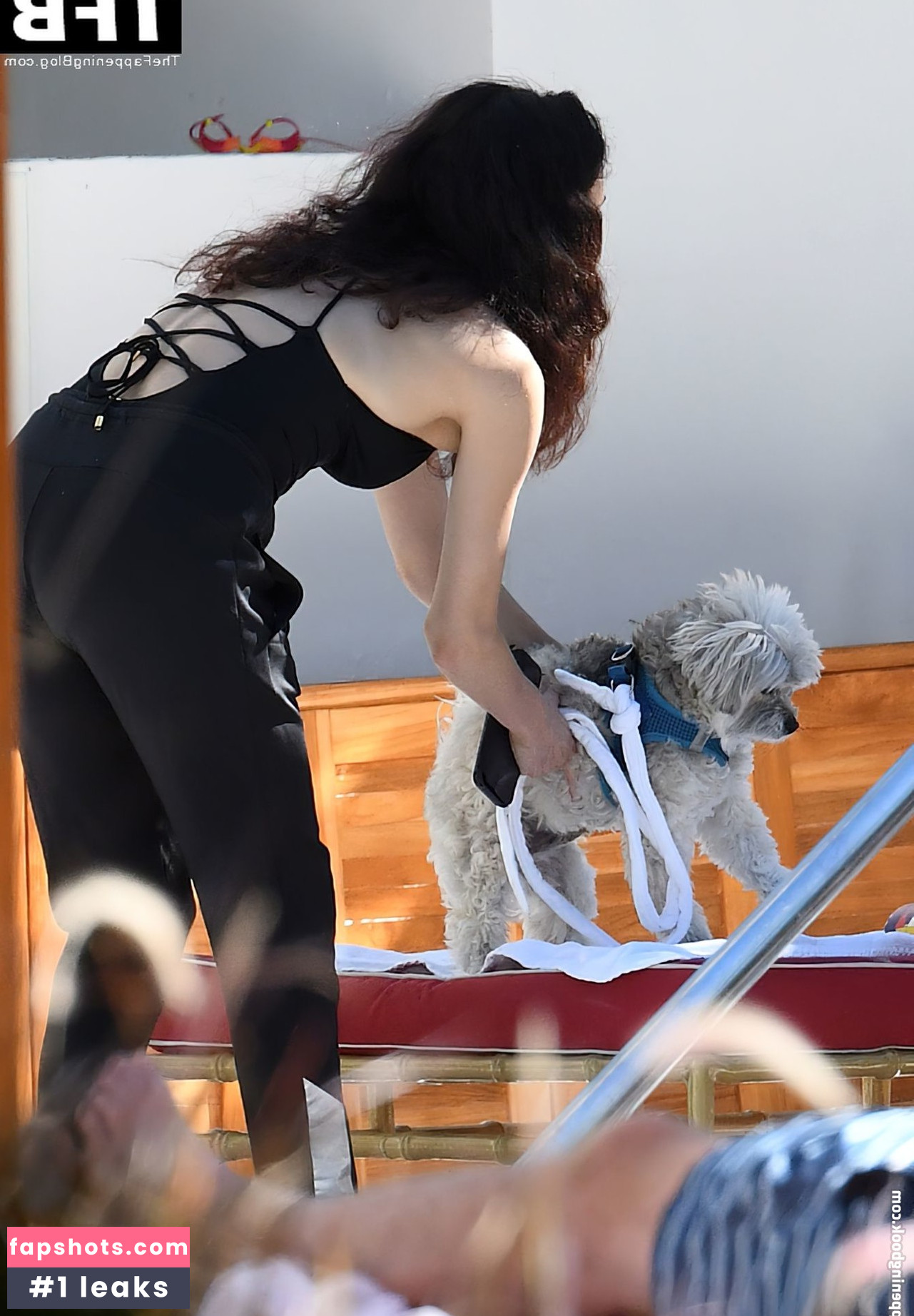 Melanie Hamrick Nahé úniky fotek pouze od fanoušků #3 - Fapshots