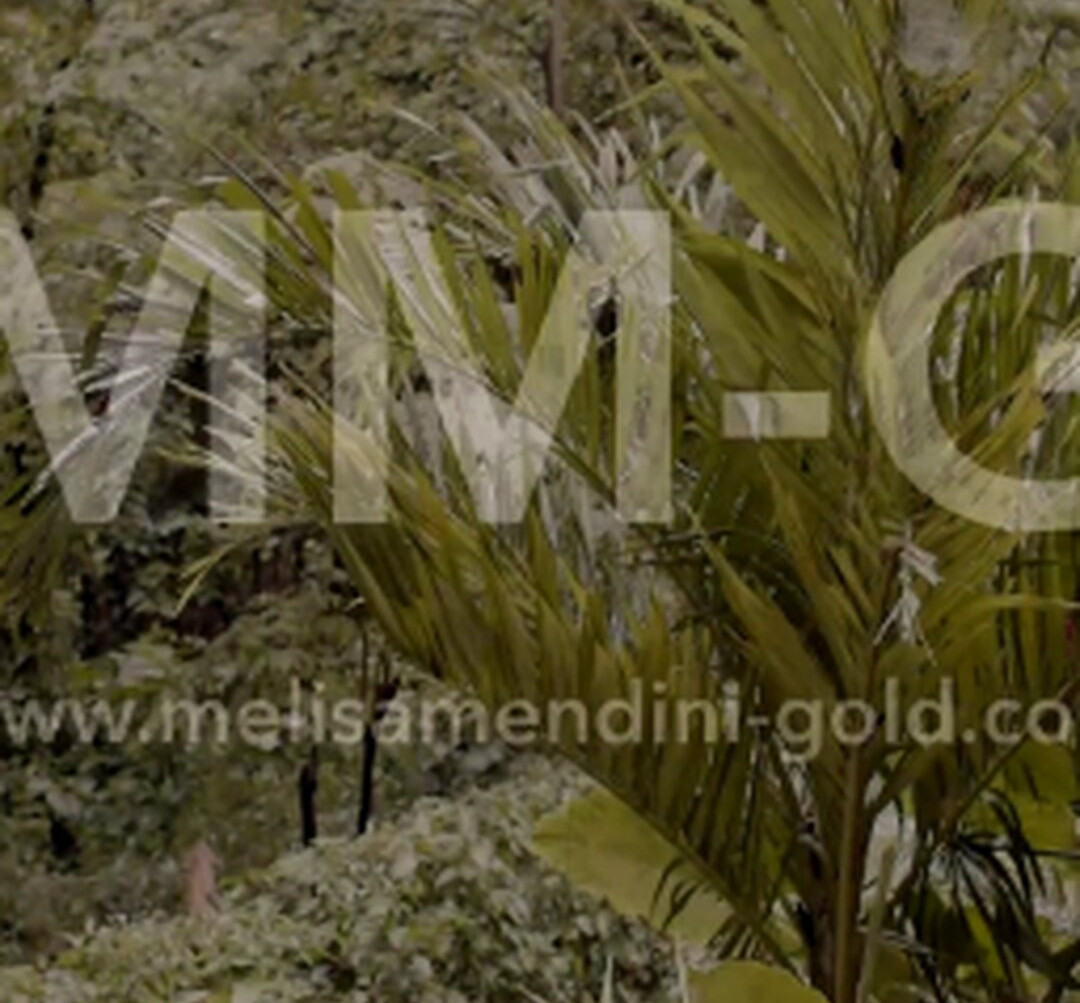 melisa-mendini gallery photo #592