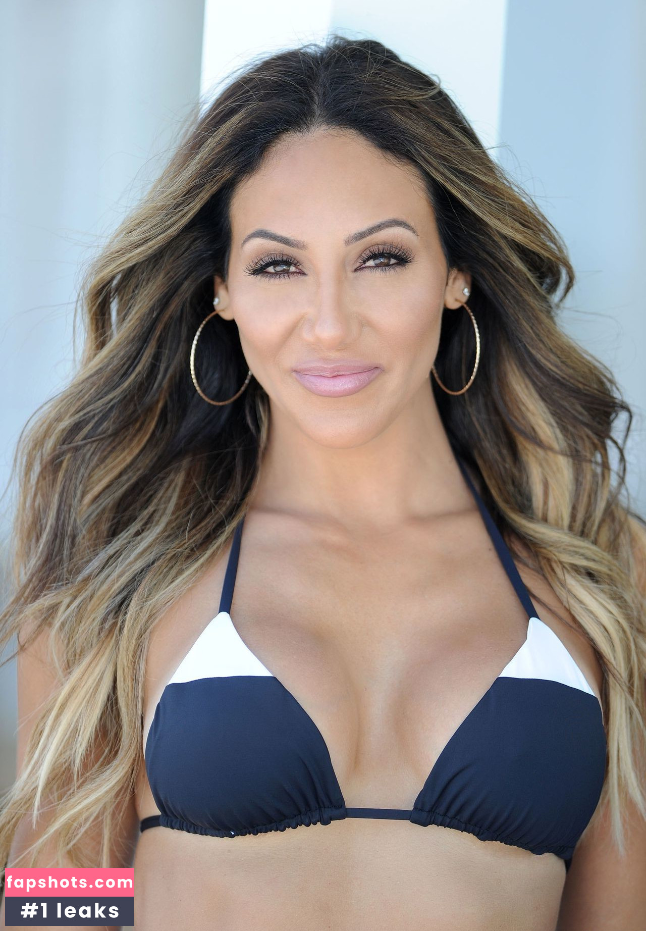 Melissa Gorga Nude Leaks OnlyFans Photos #111 - LeakJerk