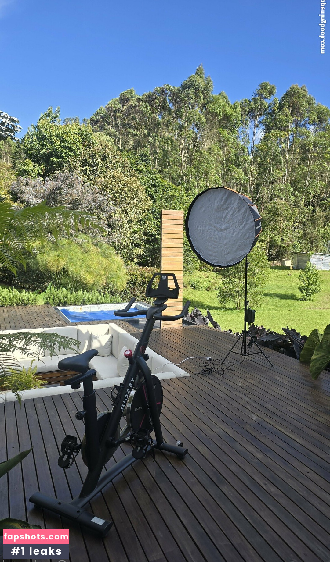 Melwood gallery photo #17