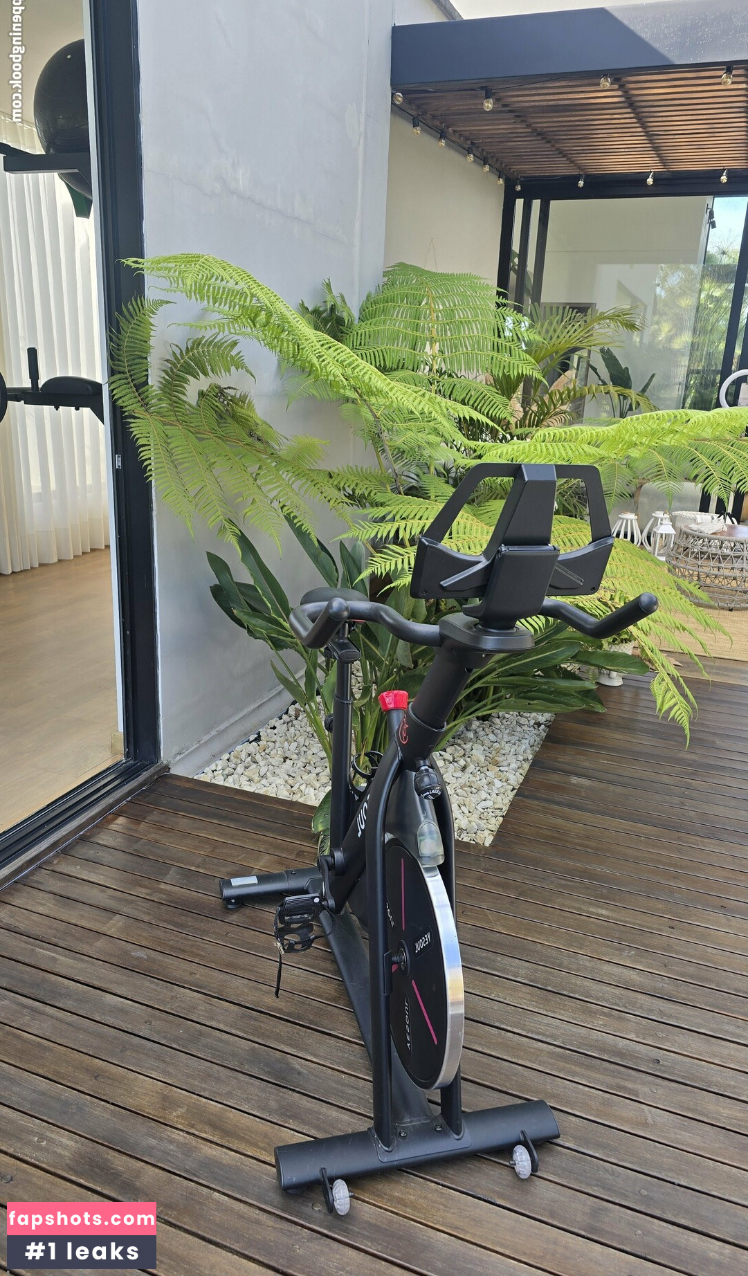 Melwood gallery photo #31