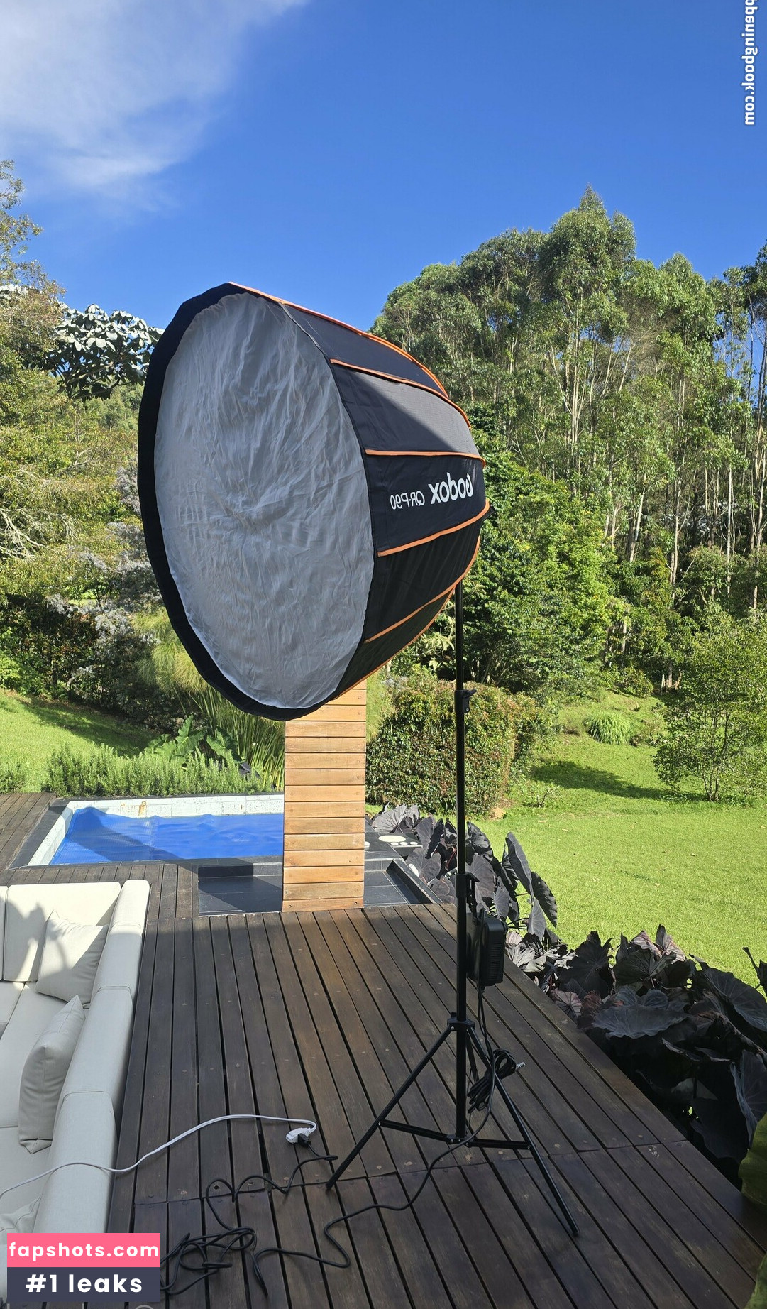 Melwood gallery photo #36