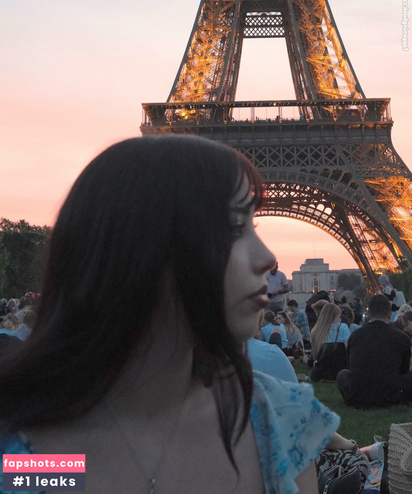 Meowcrobe gallery photo #2