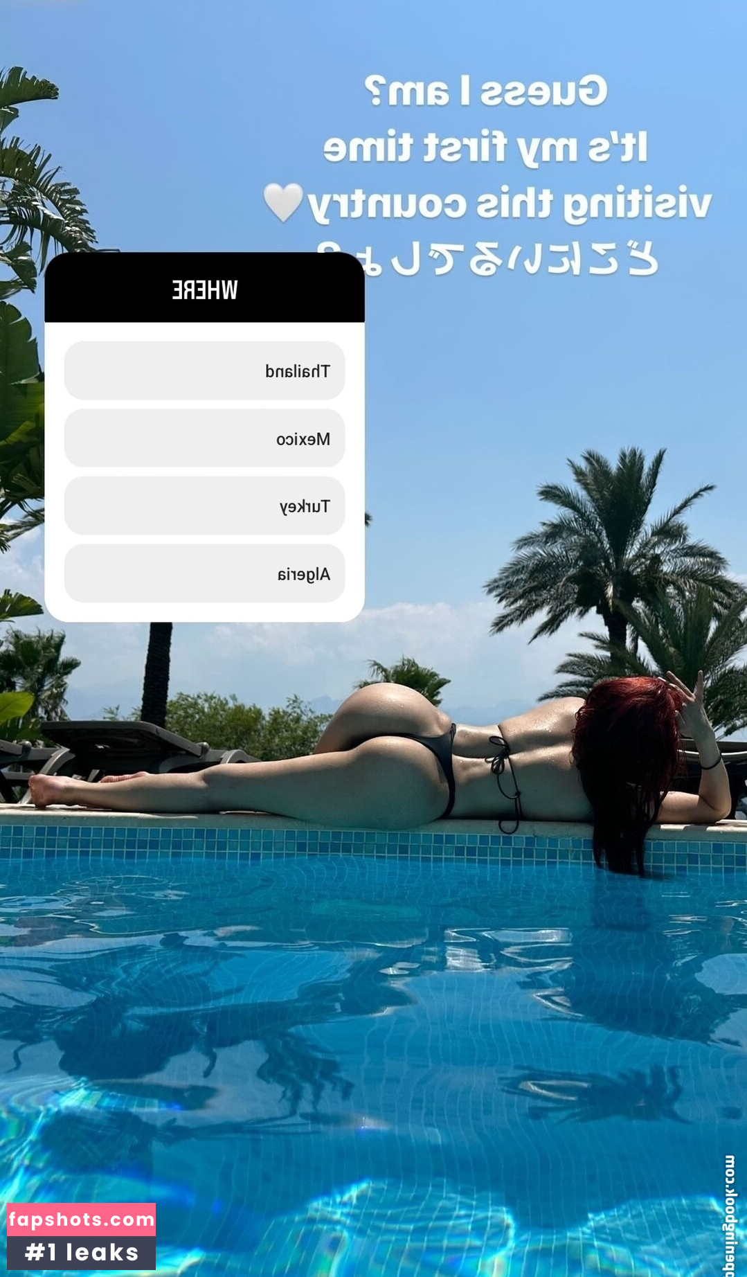 Meowko gallery photo #117