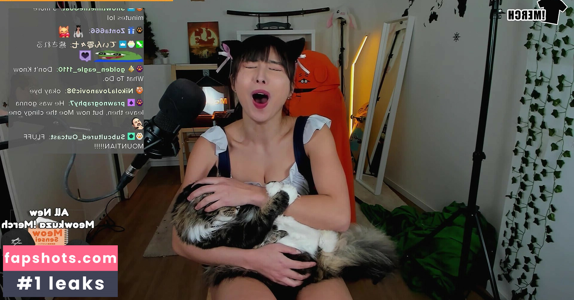 Meowko gallery photo #473