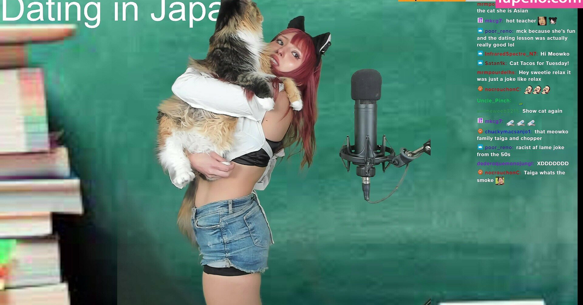 meowko gallery photo #1057