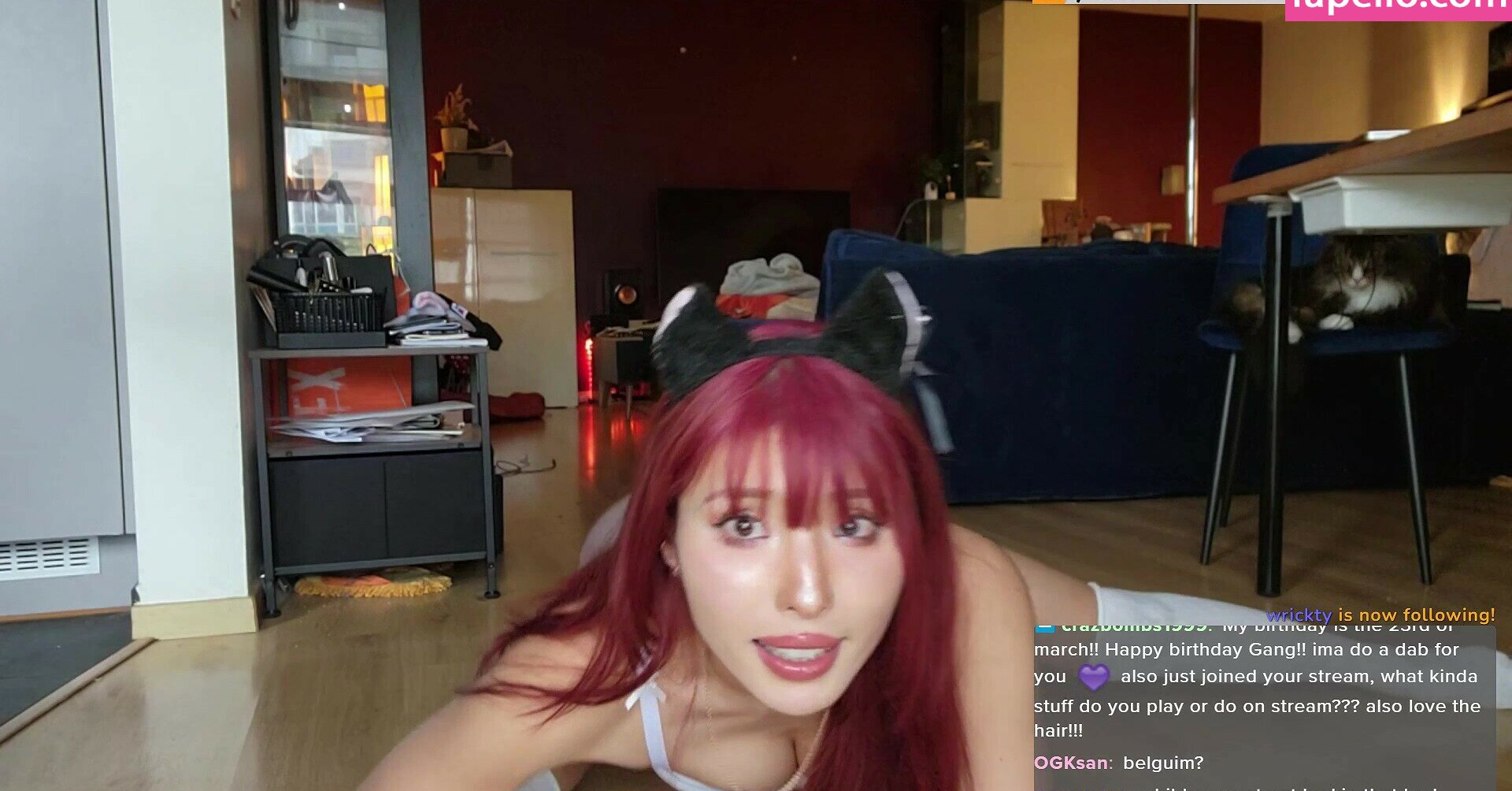 meowko gallery photo #1197