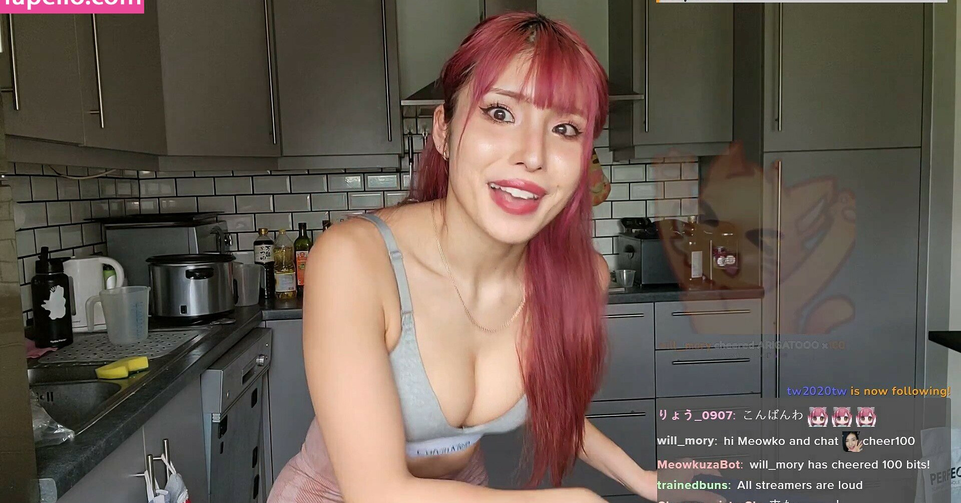 meowko gallery photo #1302