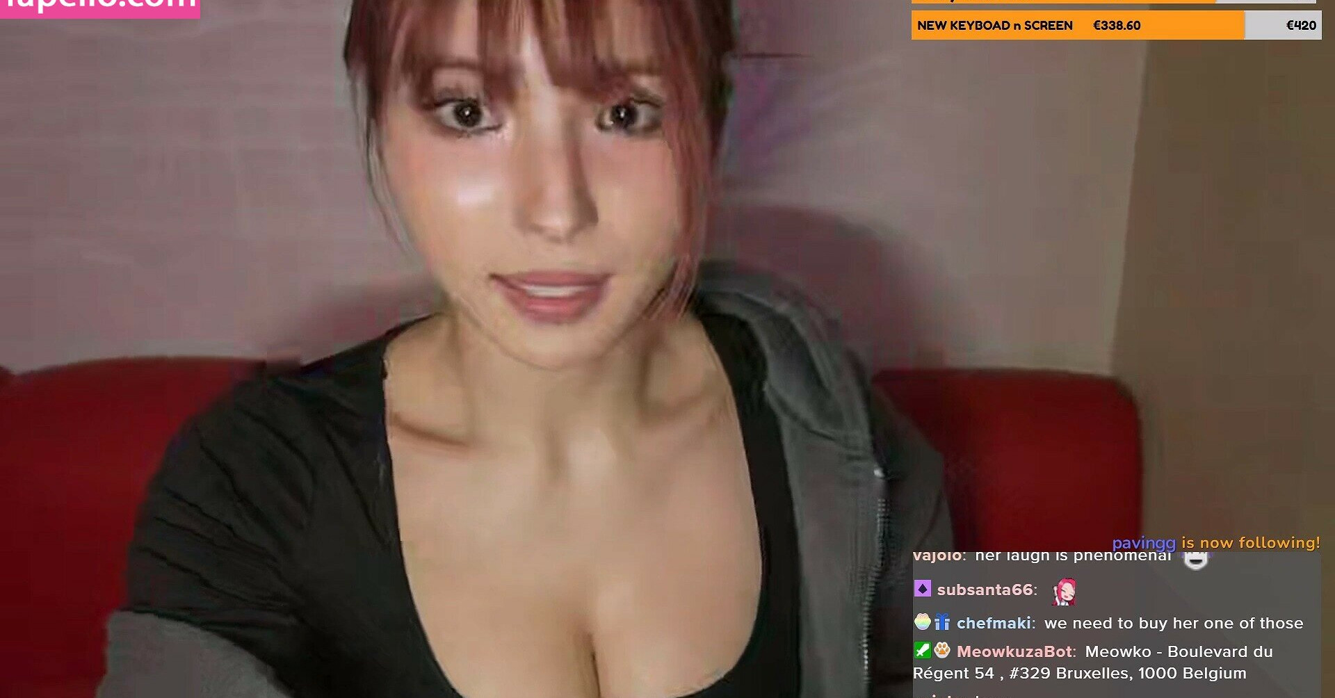 meowko gallery photo #1420