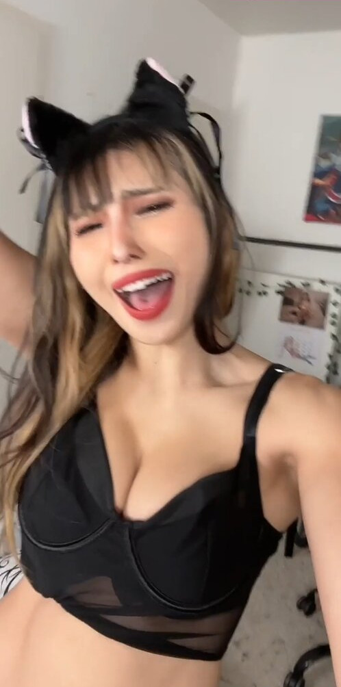 meowko gallery photo #1501