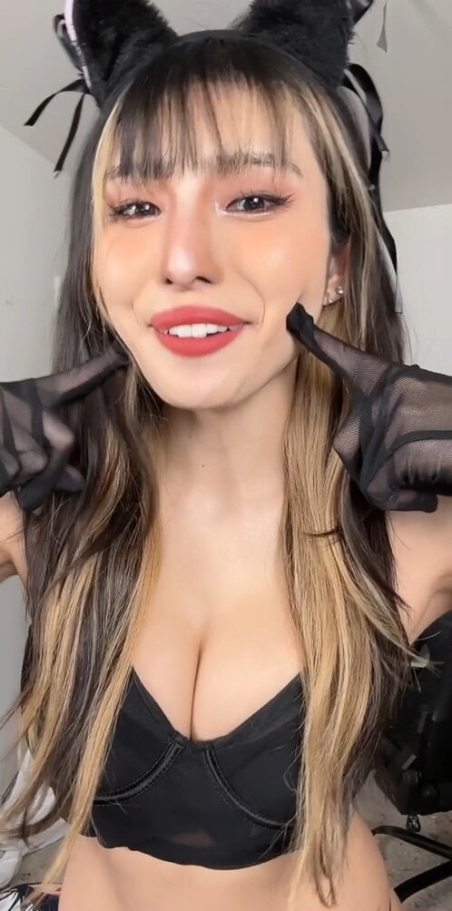 meowko gallery photo #1513