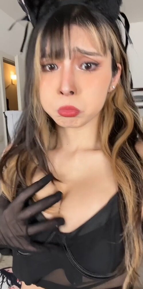 meowko gallery photo #1538