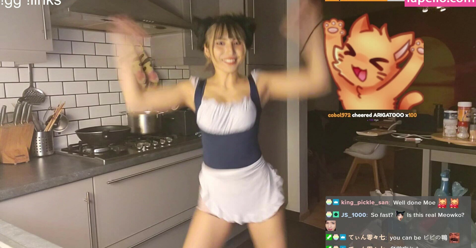 meowko gallery photo #1871